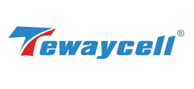 Shenzhen Topway New Energy Co., Ltd.