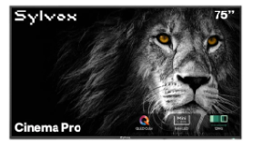 75" Cinema Pro Outdoor TV