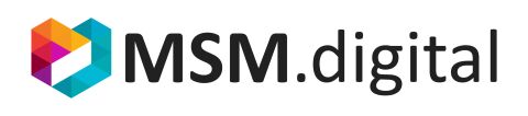 MSM.digital as part of the 1SP Agency